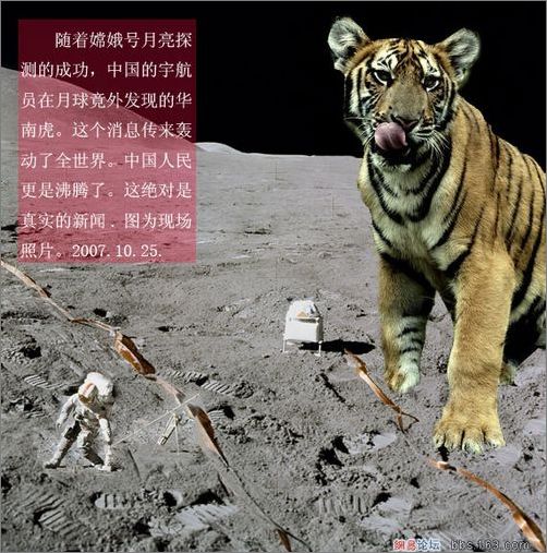 好奇號(hào)看到天了？